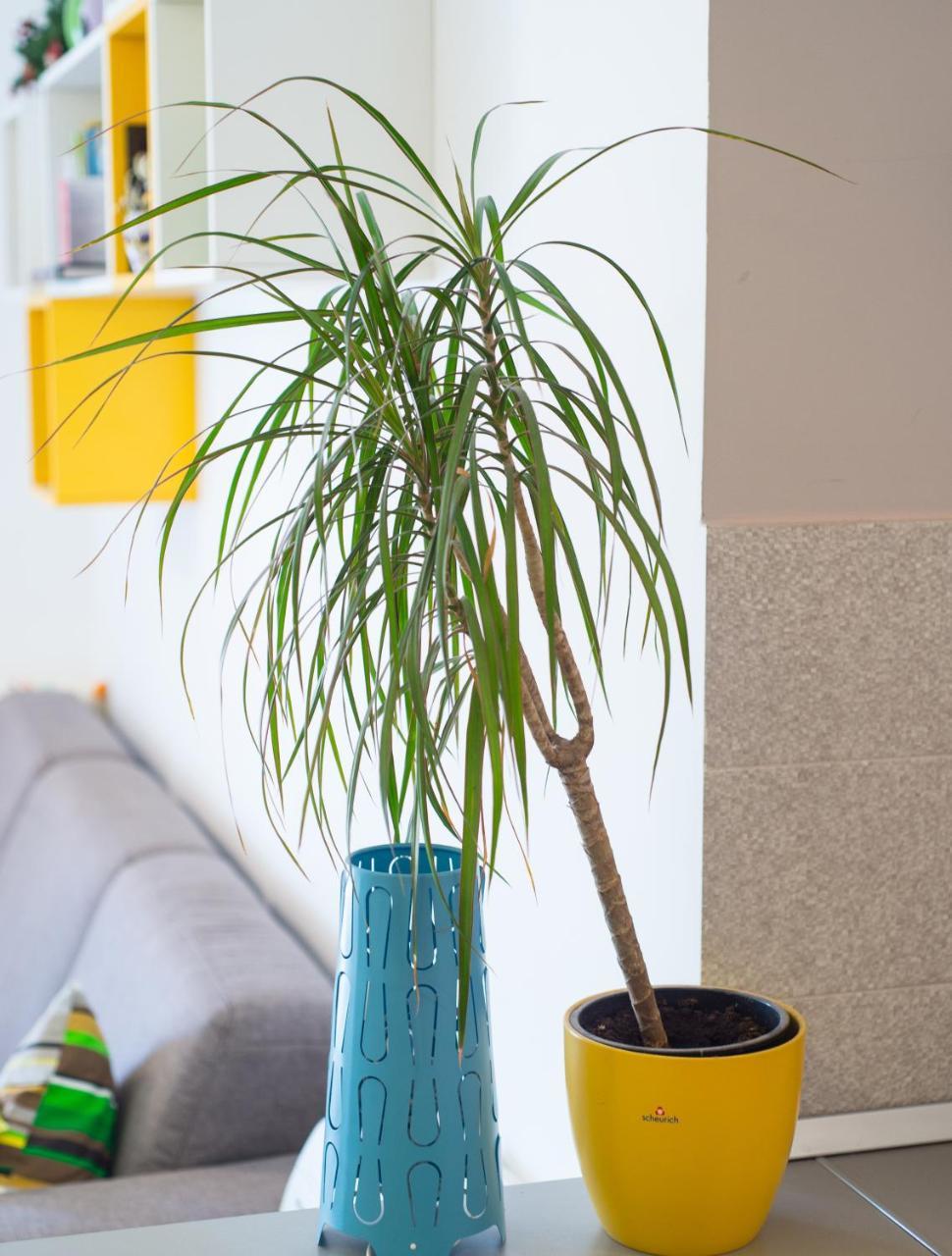 Apartment Lemon Мостар Екстериор снимка